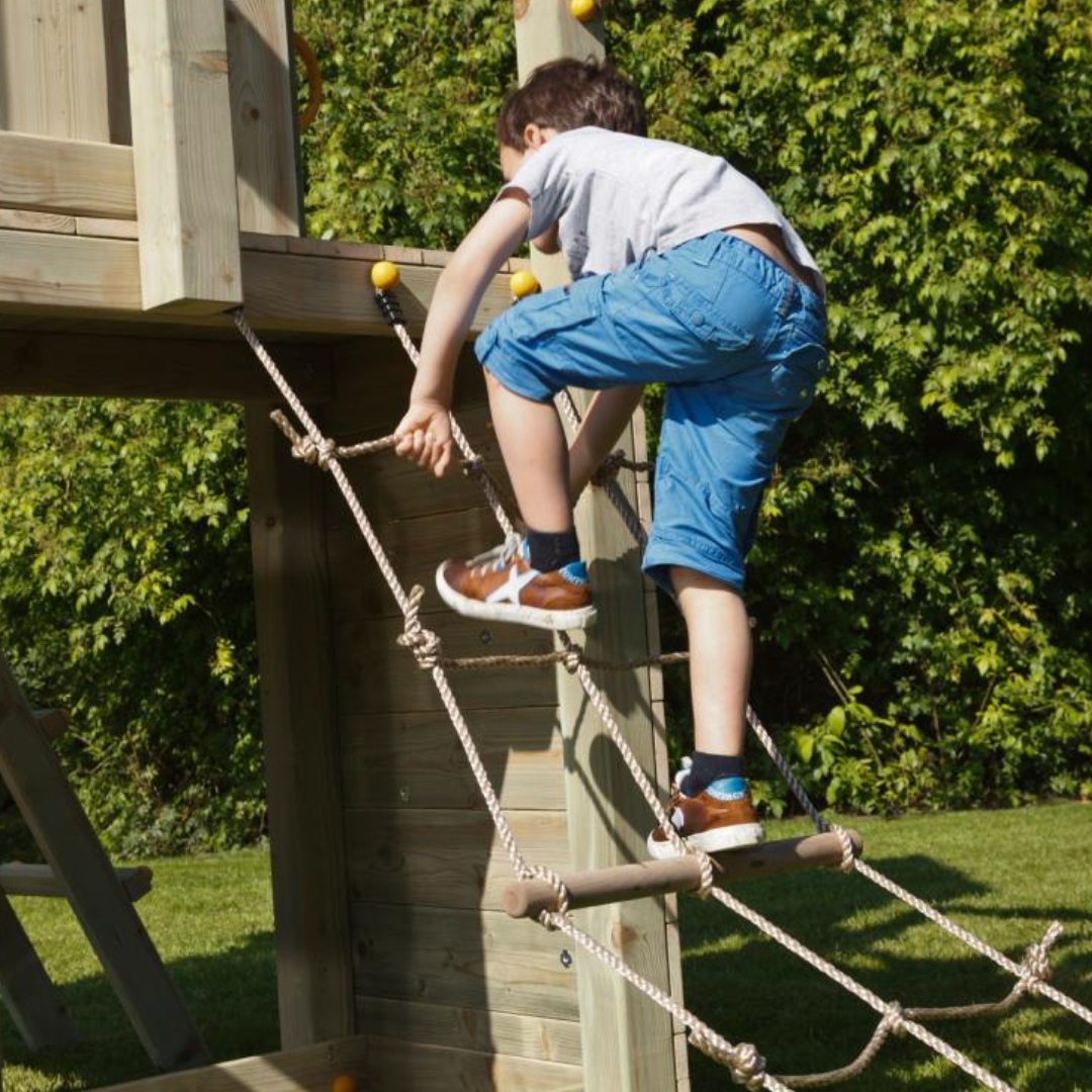 module blue rabbit step filet